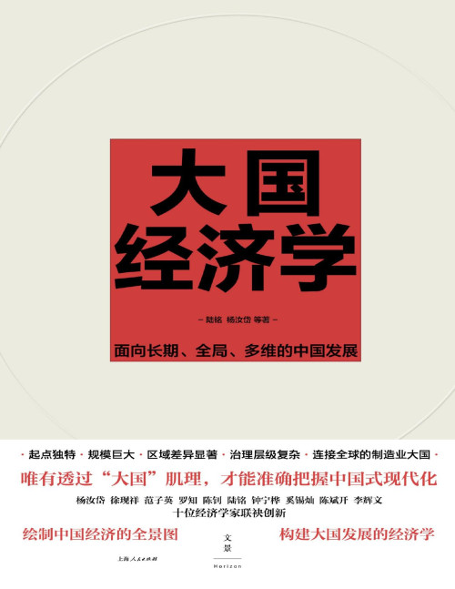 《大国经济学：面向长期、全局、多维的中国发展》 陆铭；杨汝岱 等 pdf [10.68 MB]