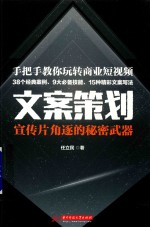 《文案策划：宣传片角逐的秘密武器》 任立民 pdf [7.12 MB]