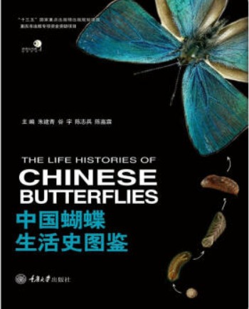 《中国蝴蝶生活史图鉴》 朱建青 pdf [133.14 MB]