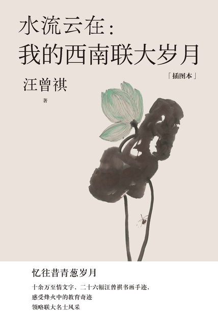 《水流云在：我的西南联大岁月》 汪曾祺 epub [1.30 MB]