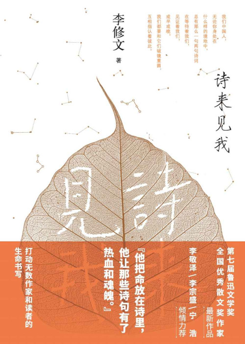 《诗来见我》 李修文 epub [663 KB]