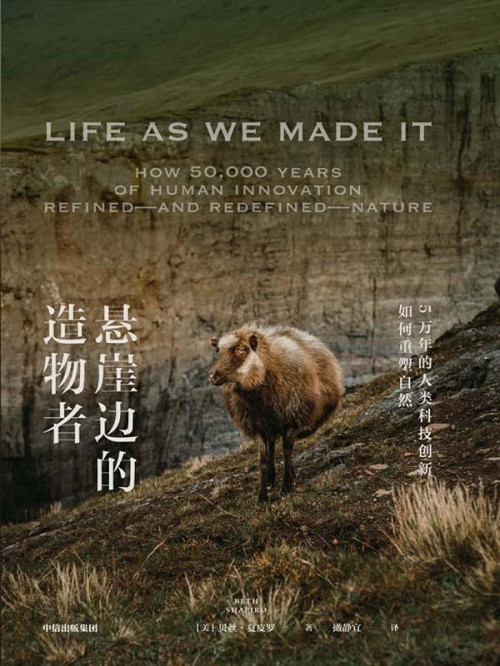 《悬崖边的造物者》 （美）贝丝·夏皮罗；撖静宜 译 epub [368 KB]