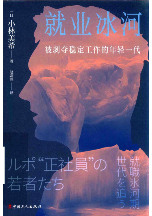 《就业冰河:被剥夺稳定工作的年轻一代》